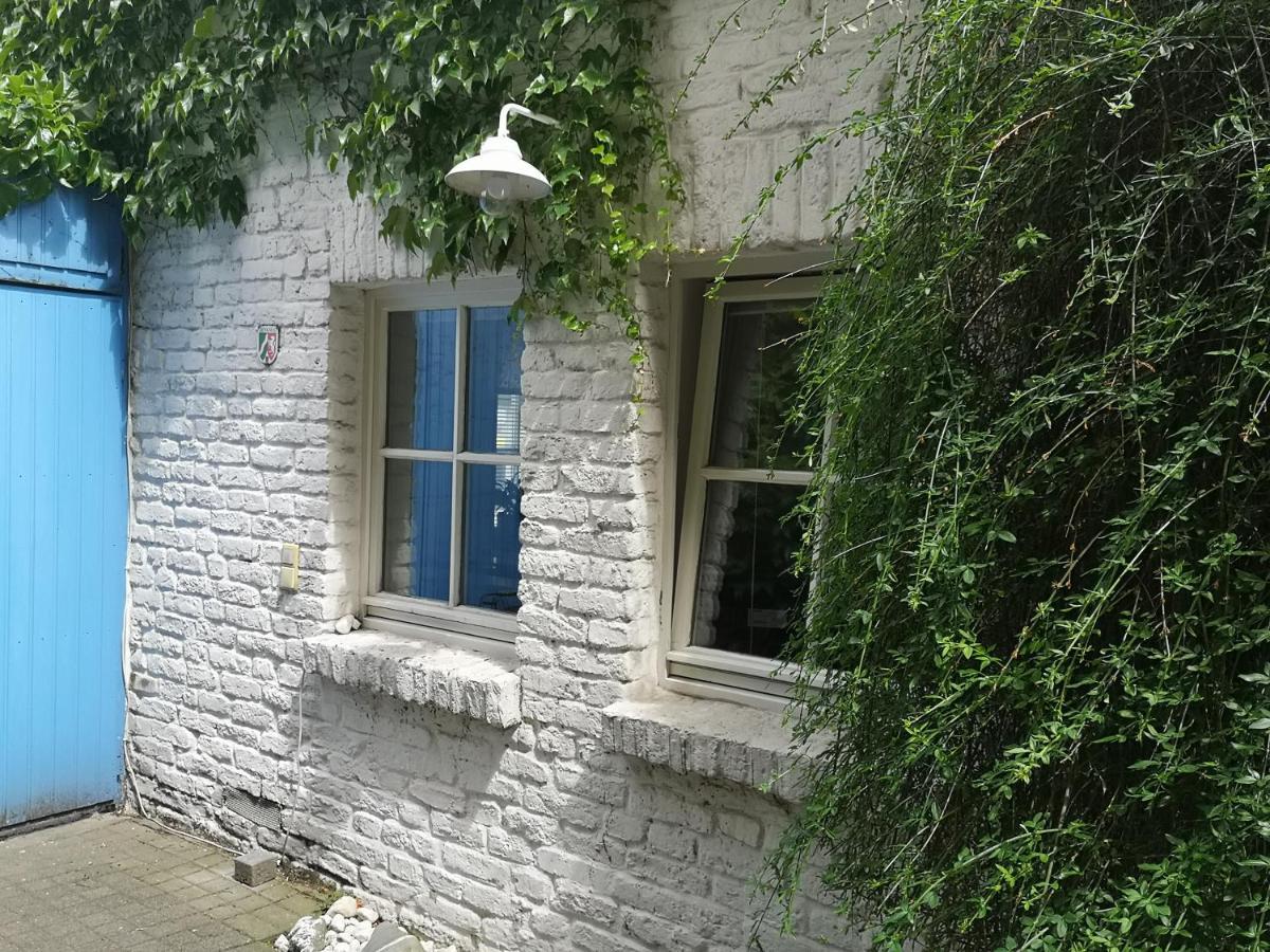 May-Apartment Koeln Zentrale Ferienwohnung מראה חיצוני תמונה